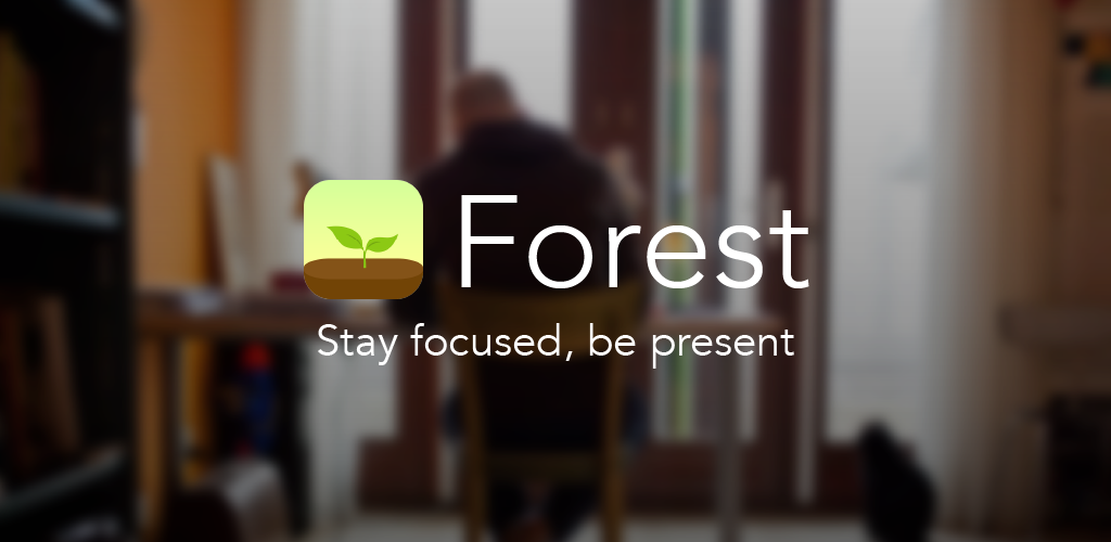 Forest Stay focused 