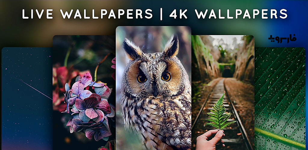Download Live Wallpapers - 4K Wallpapers Full 1.3.6.1 - a collection of