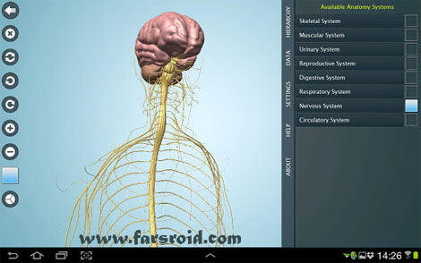 Download Anatomy 3D Pro – Anatronica Android