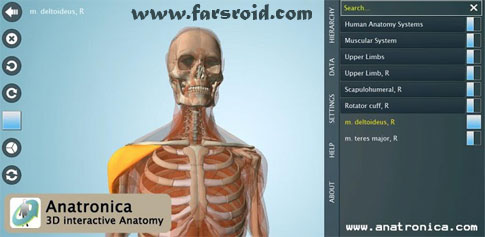 Download Anatomy 3D Pro - Anatronica - Anatomy of the human body Android