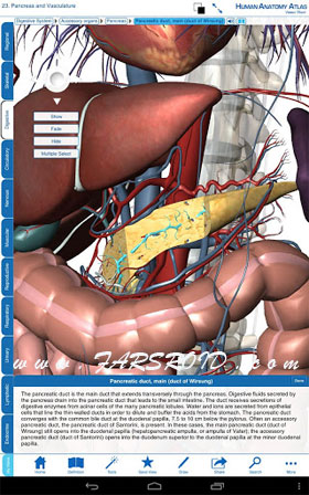 Download Human Anatomy Atlas Android