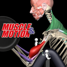 Strength Training by Muscle and Motion