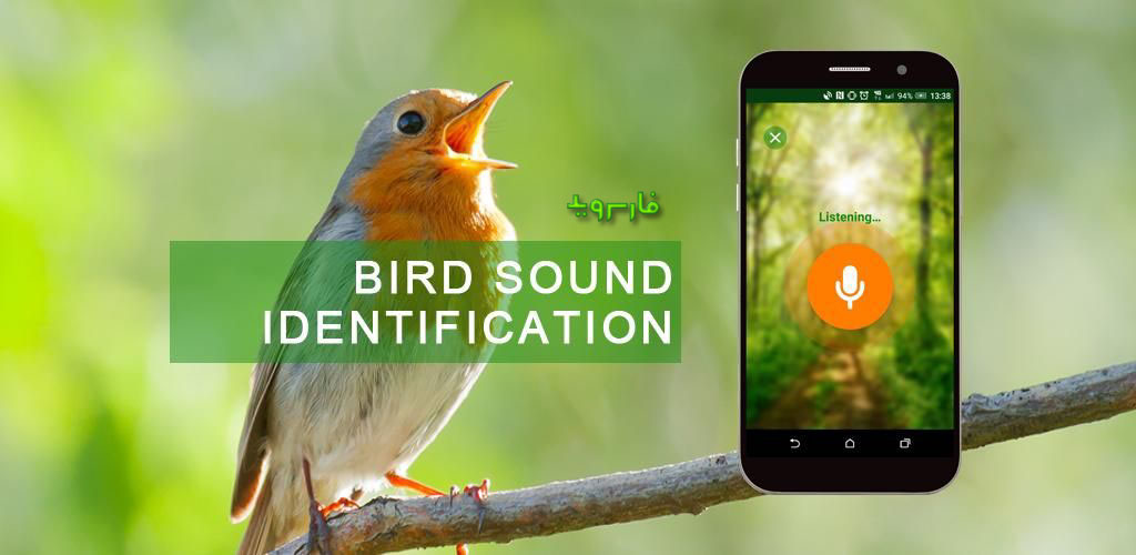 BirdNerd - Bird Song Identifier