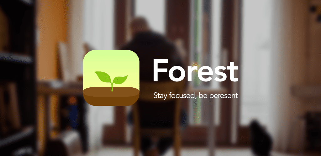 Forest Stay focused