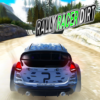 rally racer dirt logo